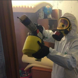 Уничтожение клопов в квартире. Малино